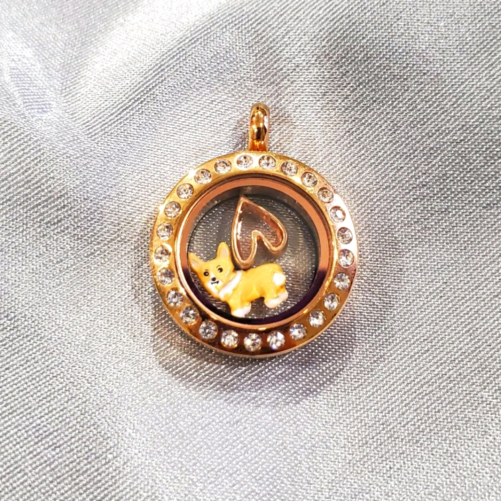 Mini Origami Owl Locket w/charms